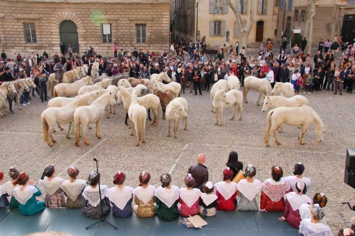 Avignon les 100 ans du riban 46 